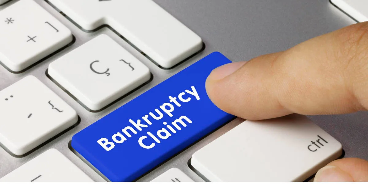 Insolvency & Bankruptcy